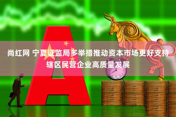 尚红网 宁夏证监局多举措推动资本市场更好支持辖区民营企业高质量发展