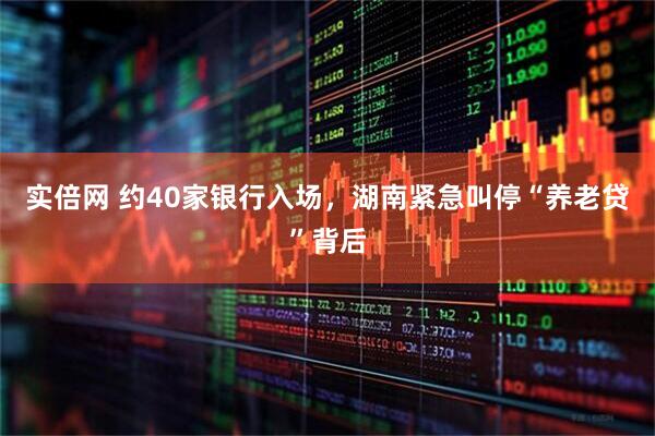 实倍网 约40家银行入场，湖南紧急叫停“养老贷”背后