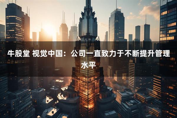 牛股堂 视觉中国：公司一直致力于不断提升管理水平