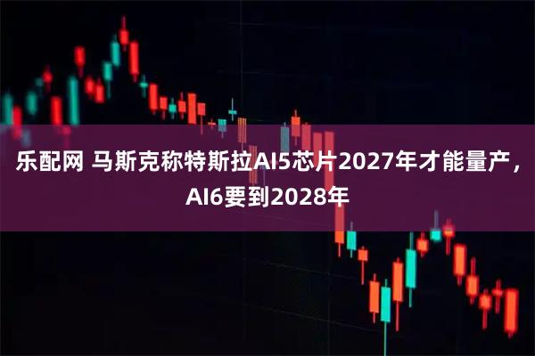 乐配网 马斯克称特斯拉AI5芯片2027年才能量产，AI6要到2028年