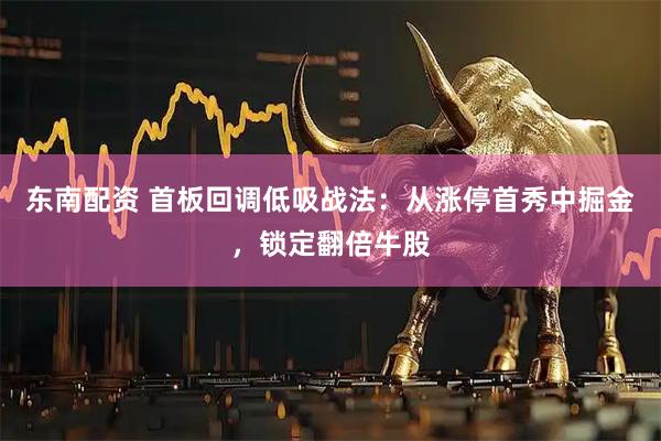 东南配资 首板回调低吸战法:从涨停首秀中掘金,锁定翻倍牛股