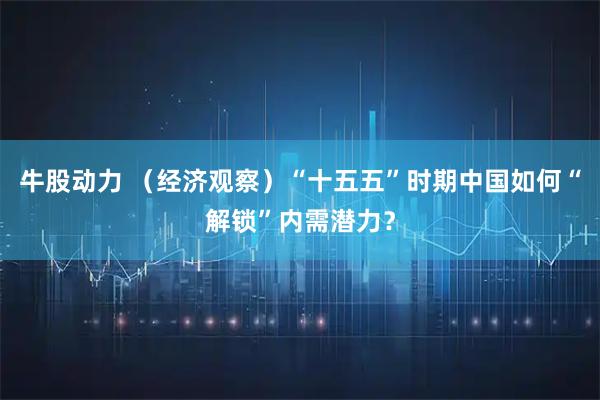 牛股动力 （经济观察）“十五五”时期中国如何“解锁”内需潜力？
