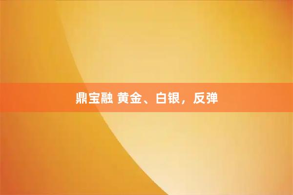 鼎宝融 黄金、白银，反弹