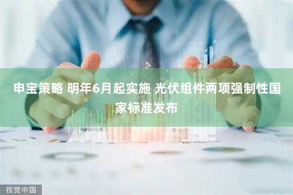 申宝策略 明年6月起实施 光伏组件两项强制性国家标准发布